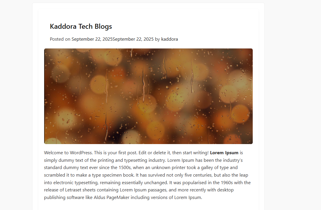 Kaddora – Multipurpose Responsive Lightweight WooCommerce WordPress Theme - Image 2