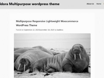 Kaddora – Multipurpose Responsive Lightweight WooCommerce WordPress Theme