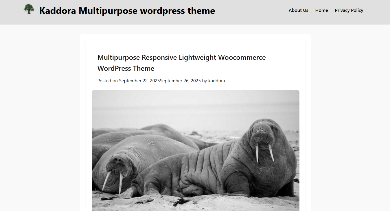 Kaddora – Multipurpose Responsive Lightweight WooCommerce WordPress Theme